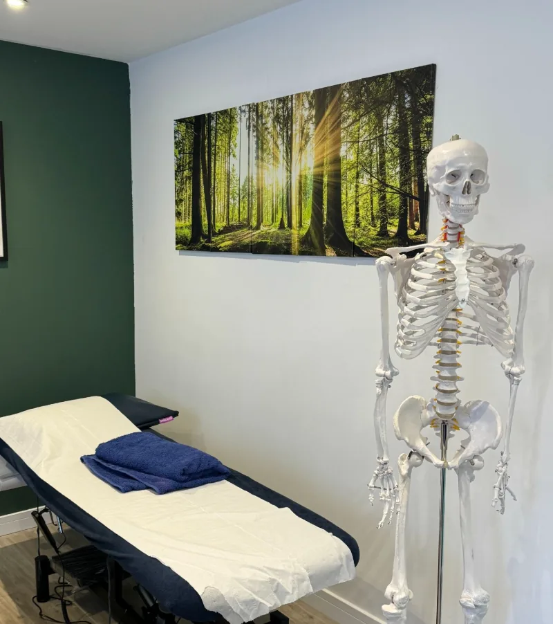 Private treatment room with anatomical model at BetterMe Physiotherapy